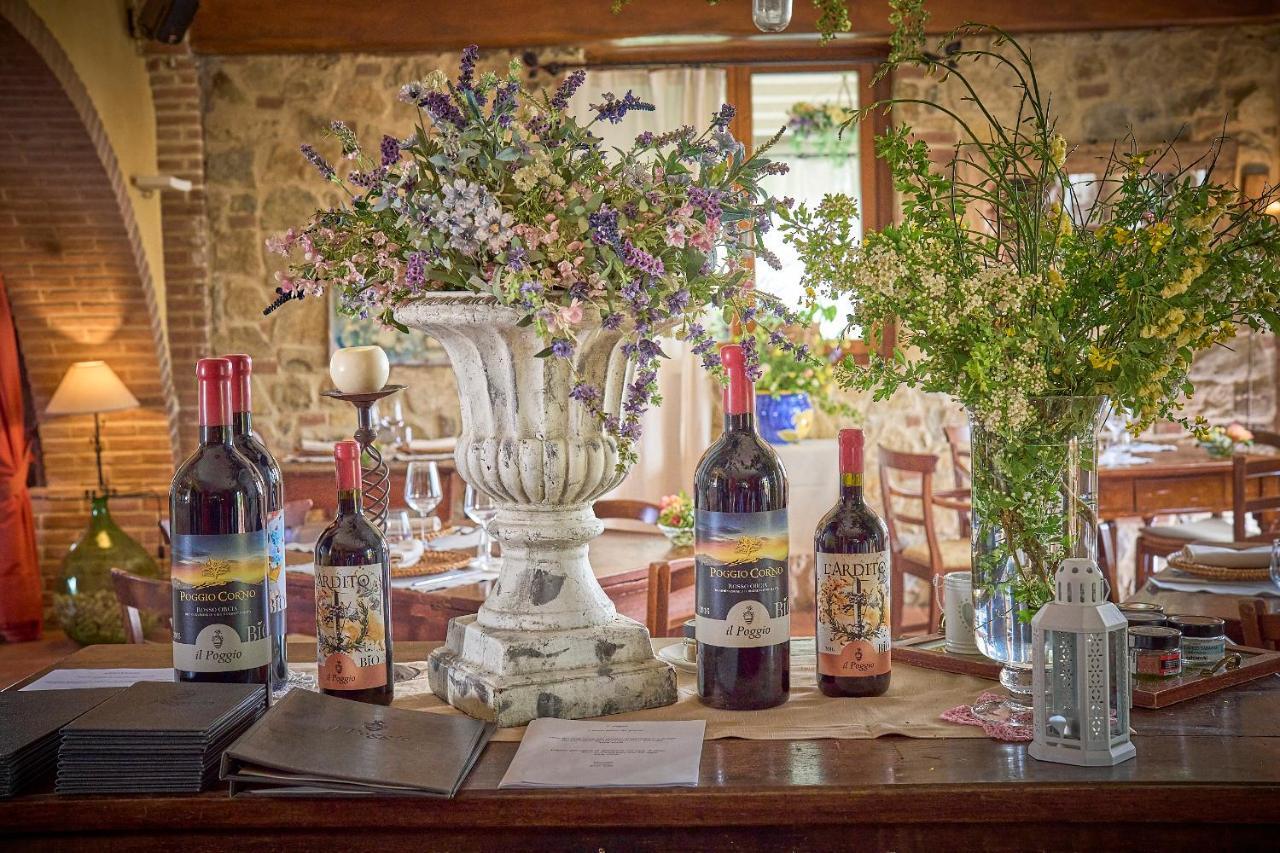 Il Poggio Guest House Celle sul Rigo Екстериор снимка