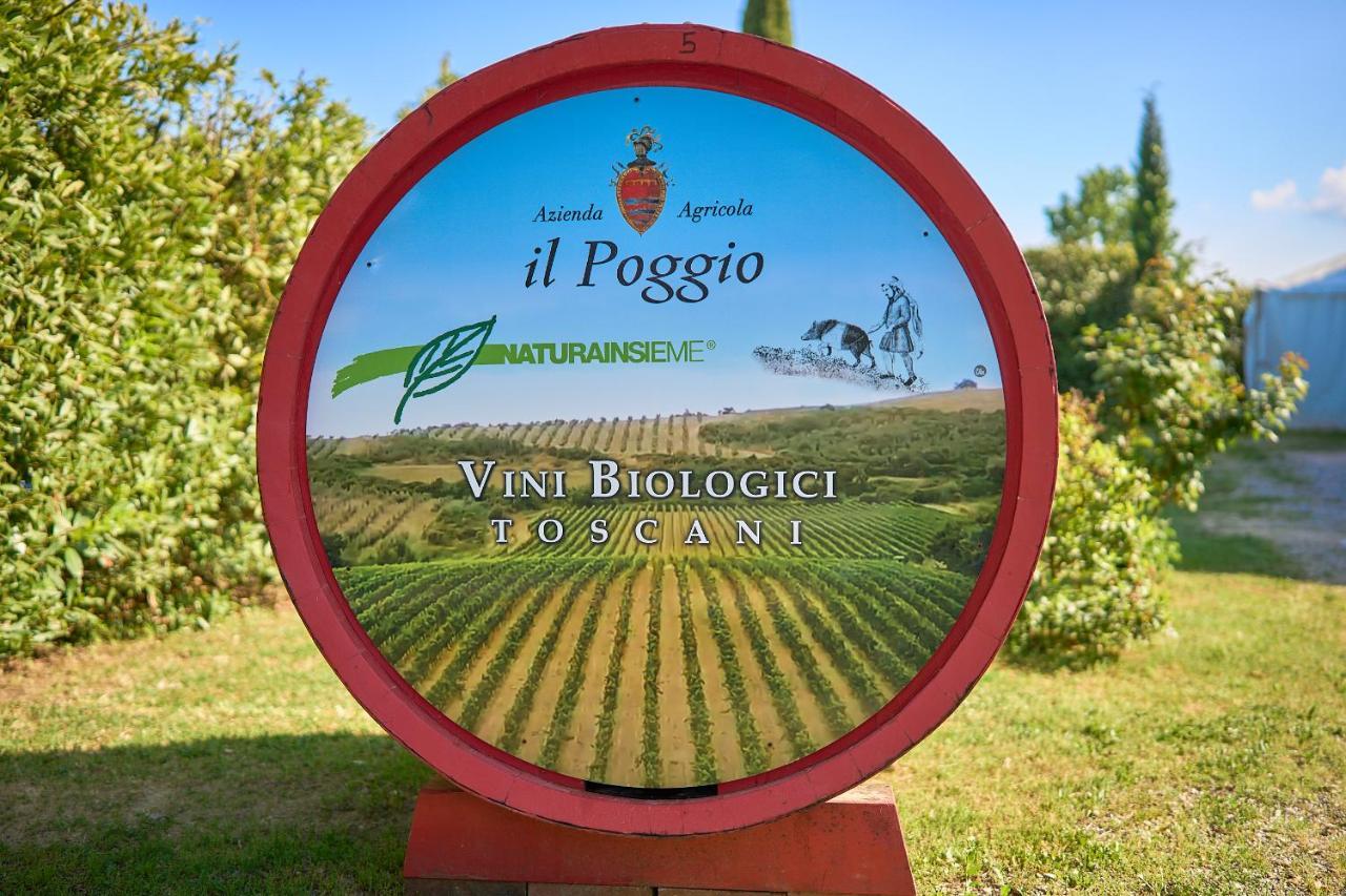 Il Poggio Guest House Celle sul Rigo Екстериор снимка