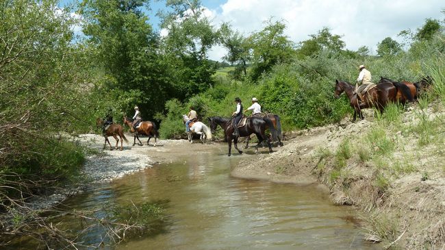 Il Poggio Guest House Celle sul Rigo Екстериор снимка